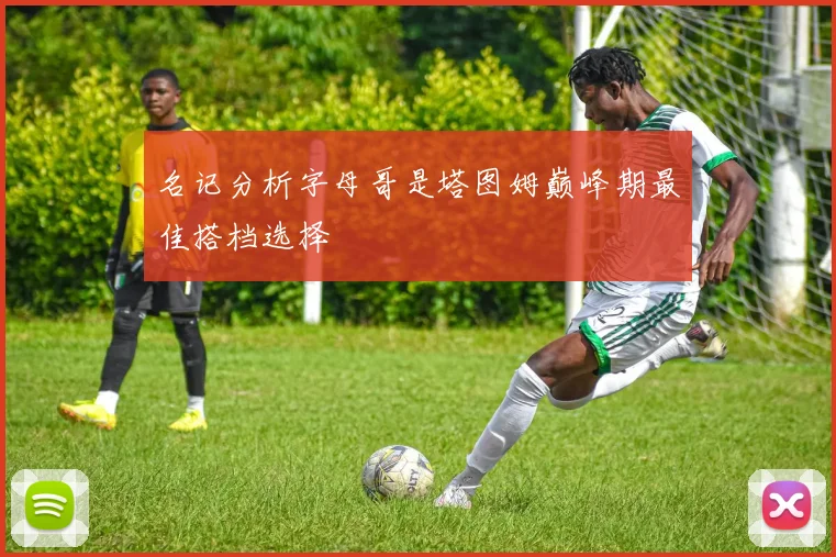 名记分析字母哥是塔图姆巅峰期最佳搭档选择